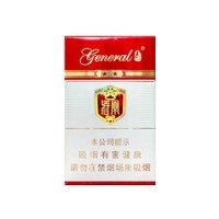泰山将军中支
