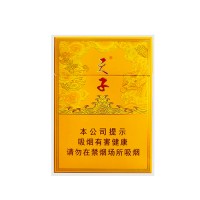 天子中支